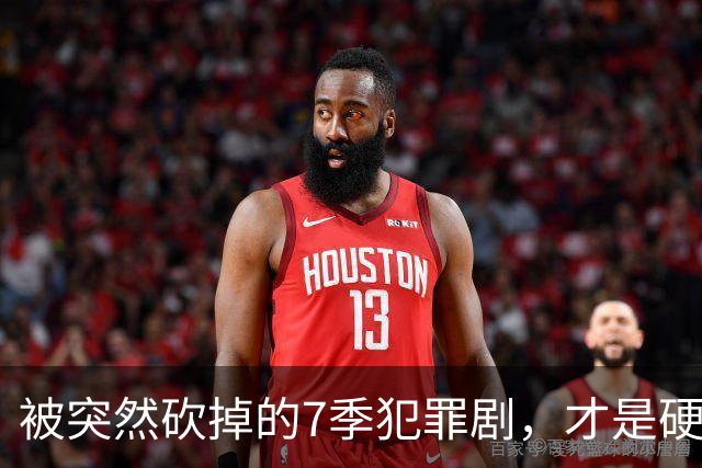 被突然砍掉的7季犯罪剧，才是硬汉剧该有的样子