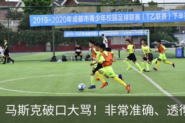 马斯克破口大骂！非常准确、透彻、到位