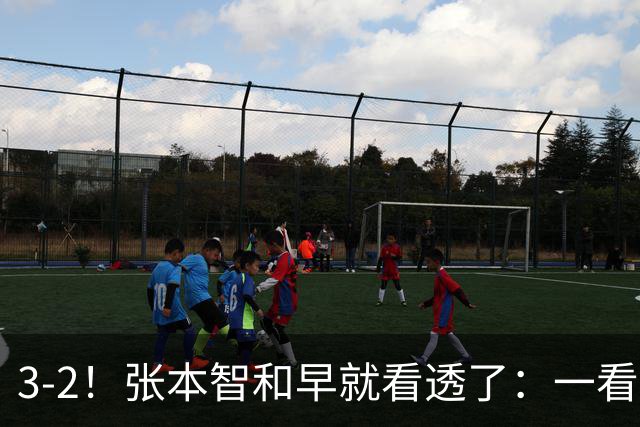 3-2！张本智和早就看透了：一看松岛不打，就知道要打满五盘